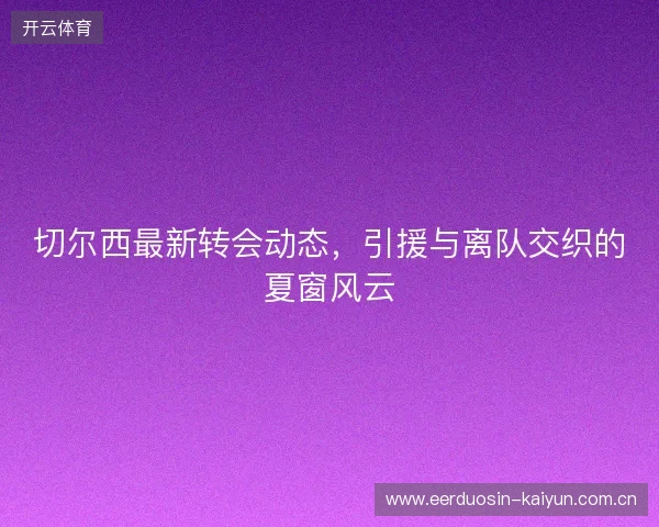 切尔西最新转会动态，引援与离队交织的夏窗风云